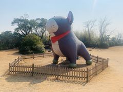 -上海崇明金茂凯悦酒店