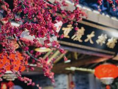 -庆合府重庆大排档(紫都城店)