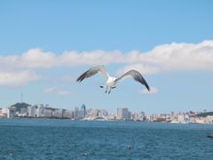 -刘公岛景区