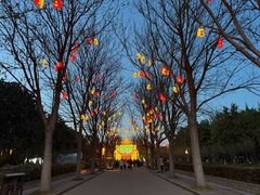 -洛阳市隋唐城遗址植物园