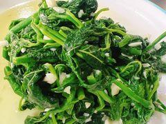 蒜泥桑芽菜-邹胖哥好好吃餐馆(荔波美食街店)