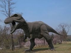 android_upload_pic-沈阳植物园