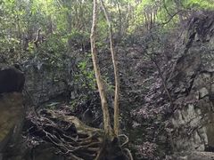 -藏龙百瀑风景区