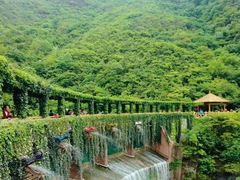 -郧西五龙河风景区