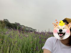 -迪茵湖田家舍生态农场