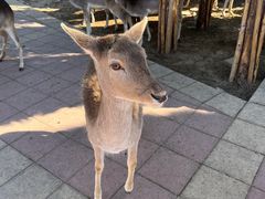 -济南野生动物世界