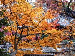 -虞山风景区