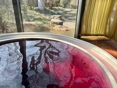 -春晖园度假酒店温泉