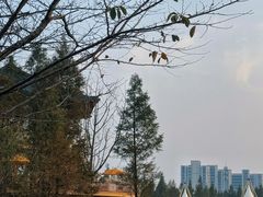 -长田漾湿地公园