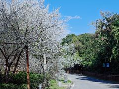 -广州市流溪河国家森林公园