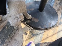 -乡乐园蟹庄·阳澄湖农家乐