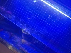 -蜀香三绝·牛蛙·烤鱼·天府炒鸡(安丘泰华店)