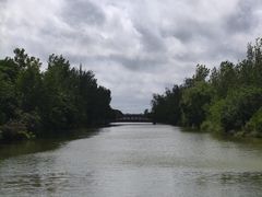-盐城丹顶鹤湿地生态旅游区
