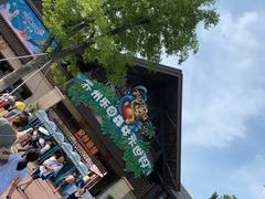 -苏州乐园森林水世界