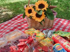 -昆山城市生态森林公园