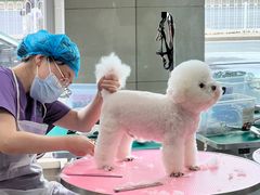 -北京观赏动物医院·24小时大型综合·猫专科·异宠专科