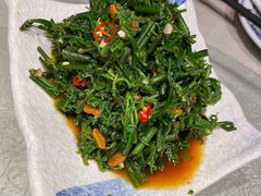 凉拌水蕨菜-醉云喃