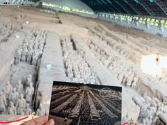 -秦始皇帝陵博物院(兵马俑)