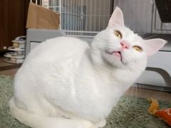 -紫荆广场·花漫里