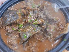 甲鱼-大圣甲(汉口店)