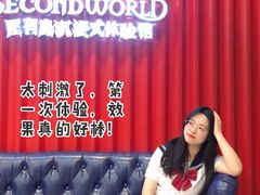 -金茂览秀城