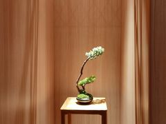 -文三酒肆自助放题(新街口友谊广场店)