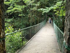 -西岭雪山大飞水景区