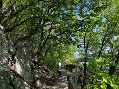 -帽儿山国家森林公园