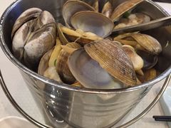 一大桶黄蚬子-渔娘渔家丹东海鲜(东直门店)