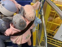 -宜家·瑞典风味餐厅(北京西红门店)