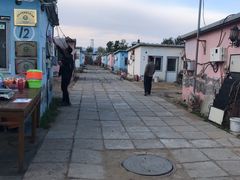 -大自然农场蔬菜草莓采摘园