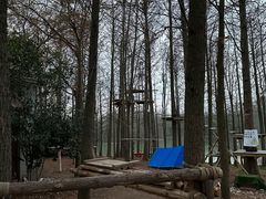 -上海海湾国家森林公园