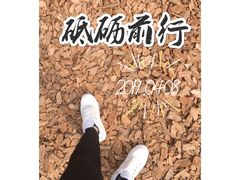 -深圳仙湖植物园-停车场