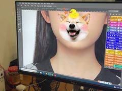 -小树照相馆·证件照(打浦桥店)