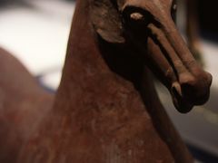 -呼和浩特博物馆