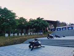 -广东惠东海龟国家级自然保护区