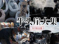 -牛头崖大集