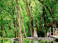 -叠溪松坪沟景区