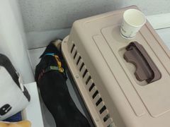 -纳吉亚猫专科动物诊疗中心(蒋宅口分院)