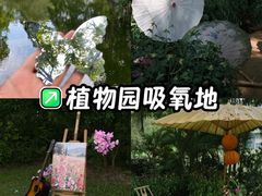 -广西壮族自治区药用植物园