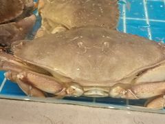 -新丁香海鲜酒店(银海商贸城店)