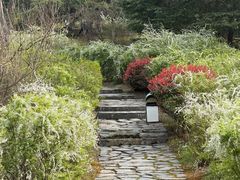 -武汉园博园(武汉自然博物馆)