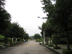 林荫道-广东轻工职业技术大学(新港校区)