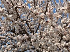 -吉林大学(南岭校区)