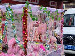 -溪岸路花鸟市场