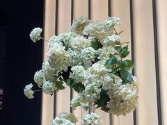 -華府Deluxe(兴业太古汇店)