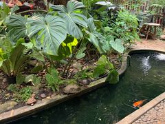 -Fern Forest Cafe