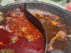 -五里关火锅(牛市口店)