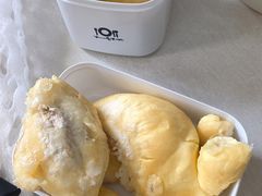 -泉州海丝野生动物世界