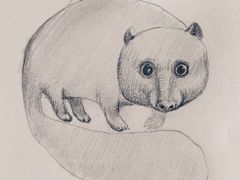 -东方童画少儿美术(莘庄体验馆)